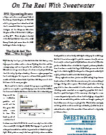 Sweetwater 2007 Newsletter 2nd Edition
