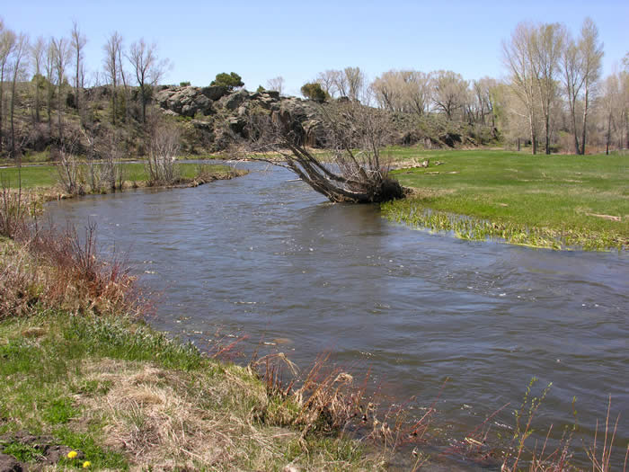 Fisheries Restoration -Larimer County, Colorado