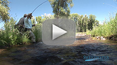 RMR - Sweetwater Created Fishery