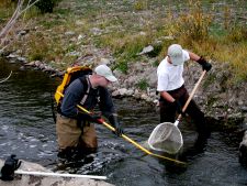 Fisheries Development and Management - Albany County, Wyoming