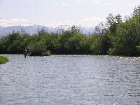 Fisheries Consulting and Management - Kremmling, Colorado