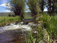 Spring Creek Design and Devlopment - Routt County, Colorado